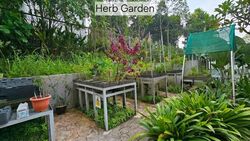 Bukit Panjang Ring Road (D23), Condominium #613464991